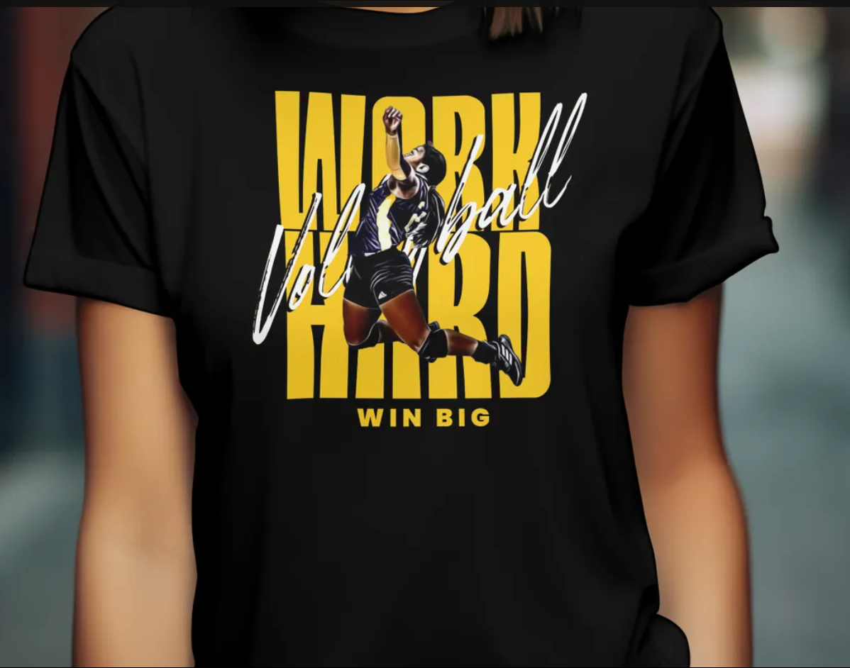 The Work Hard Volleyball Unisex Fine Jersey Tee